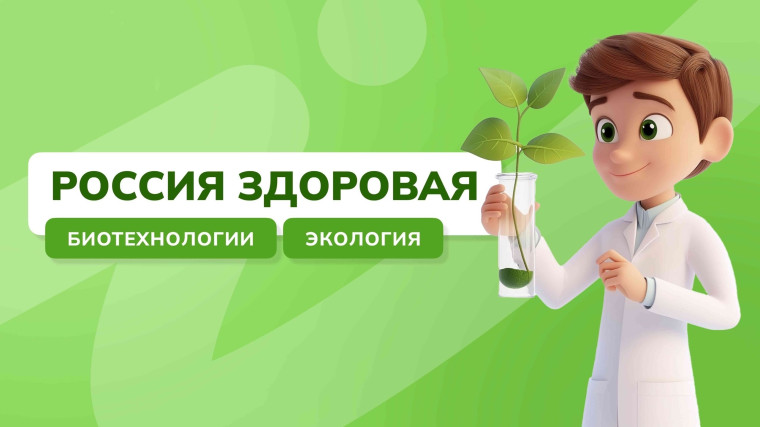 Внеурочный курс: «Россия- мои горизонты».